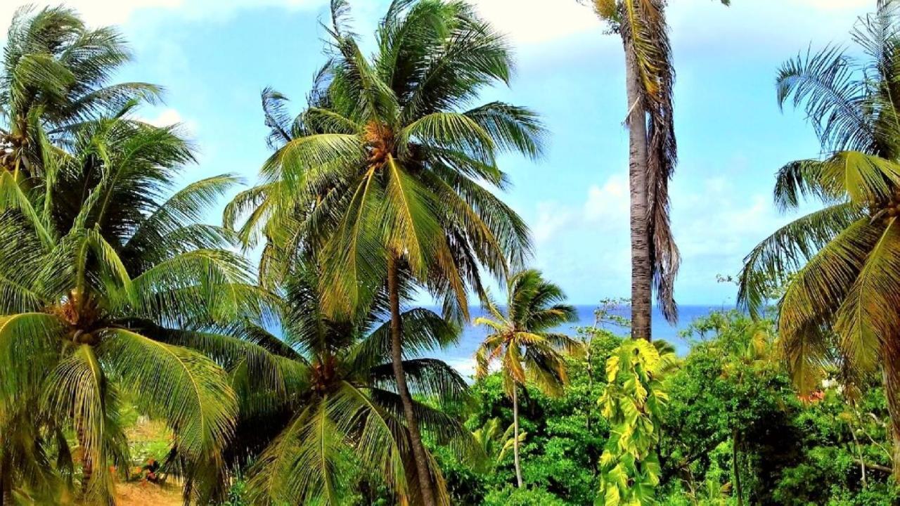 Hotel Murielle De Marie-galante *