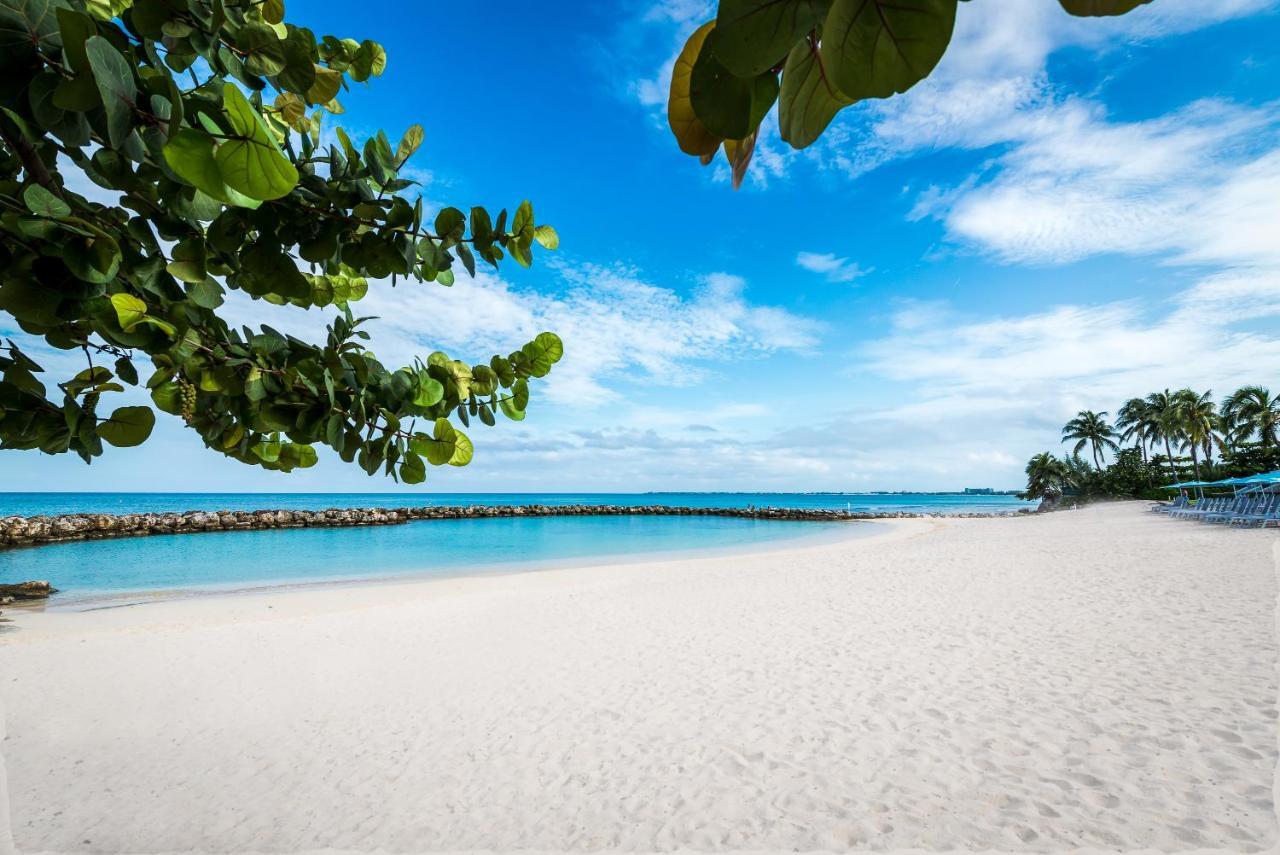 Margaritaville Beach Grand Cayman