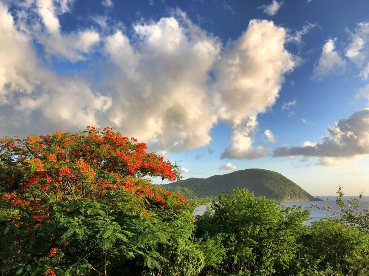O Coeur De Grande Anse Et Amandiers Apartamento Deshaies