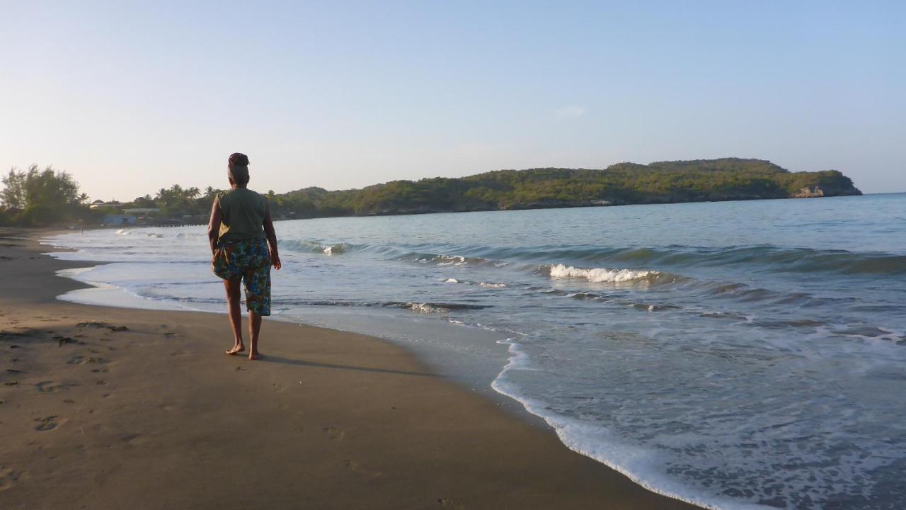 Taino Cove Treasure Beach