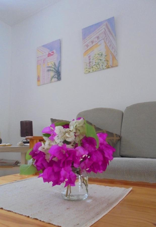 Apartment Happy Turtle Willemstad