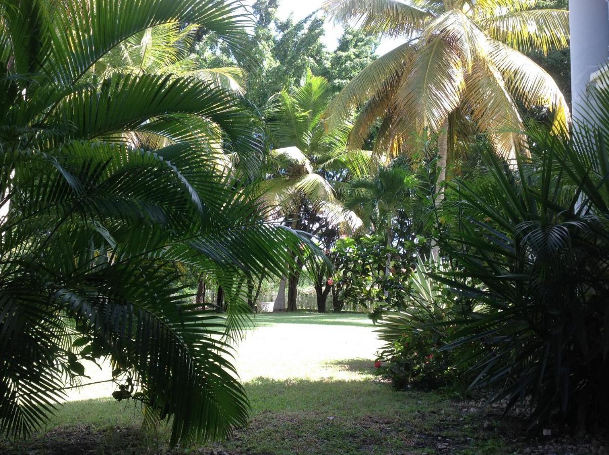 Kazalou * Saint-Francois (Grande-Terre)