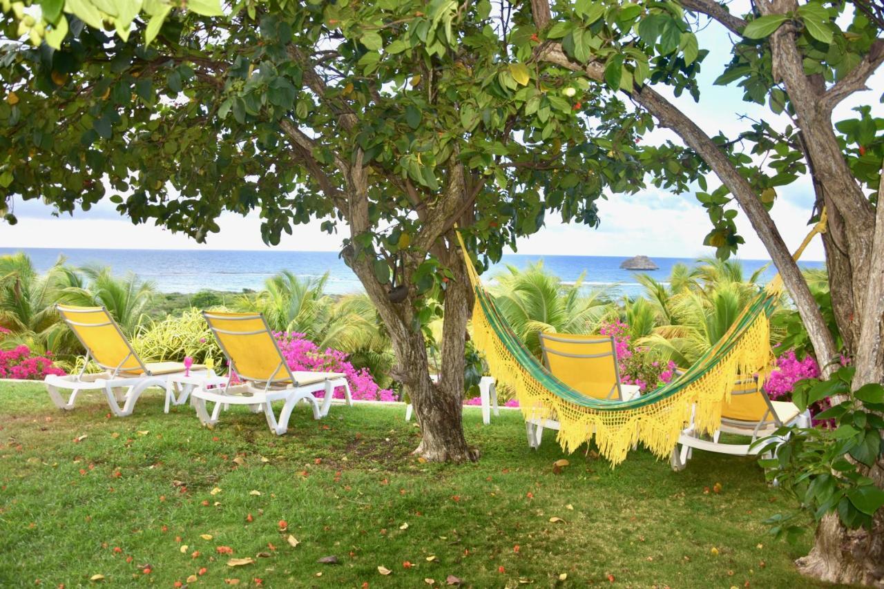 Guadeloupe Francois Acces Piscine Iguana Bay - Zagadi Villa *