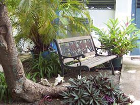 Ceiba Country Fajardo