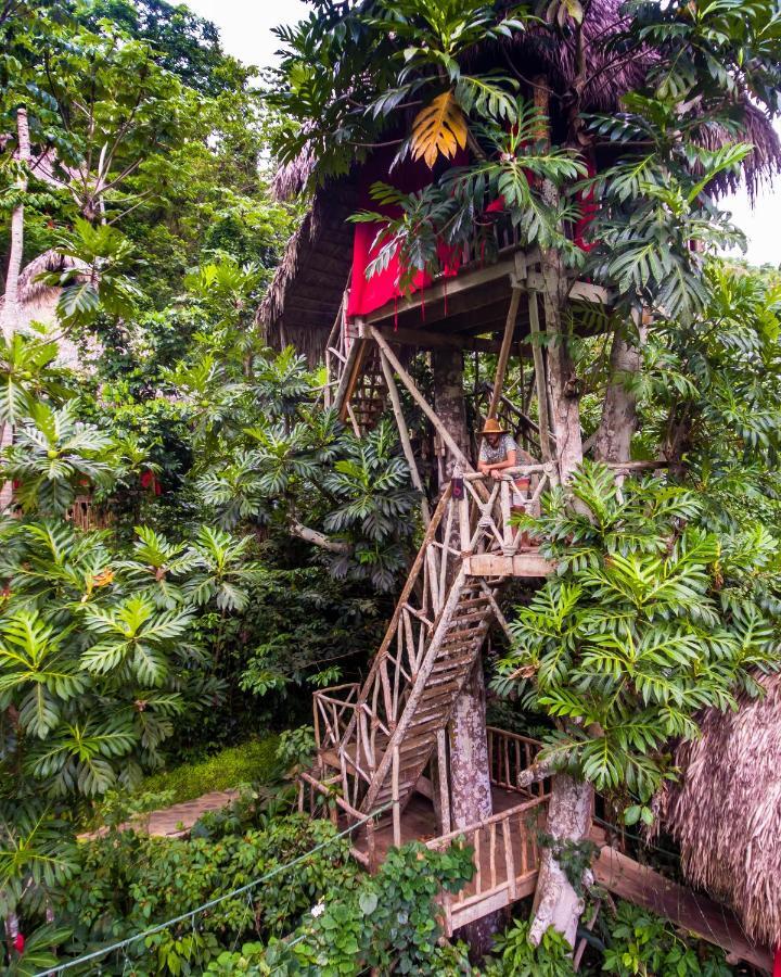 Resort Dominican Tree House Village