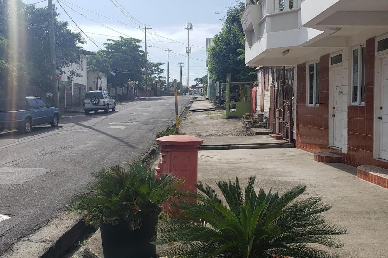 Unit 1 Private - Apartment Roseau