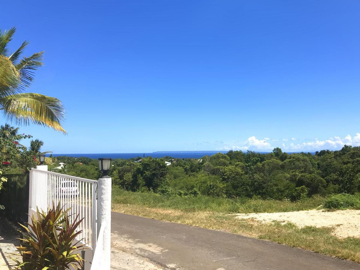 Locastudio - Grenadine Guest house Sainte-Anne (Grande-Terre)
