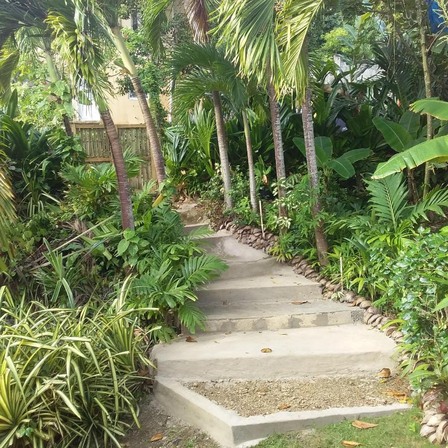 Brian's House * Port Antonio
