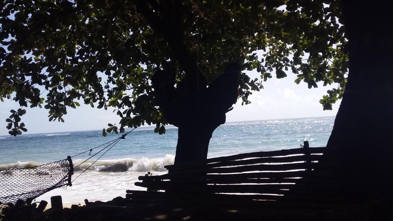 Brian's House Port Antonio