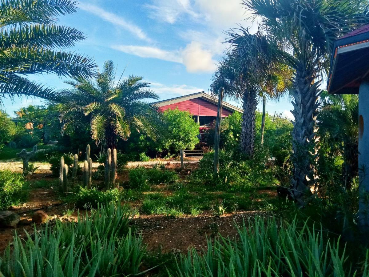 Resort Red Palm Village