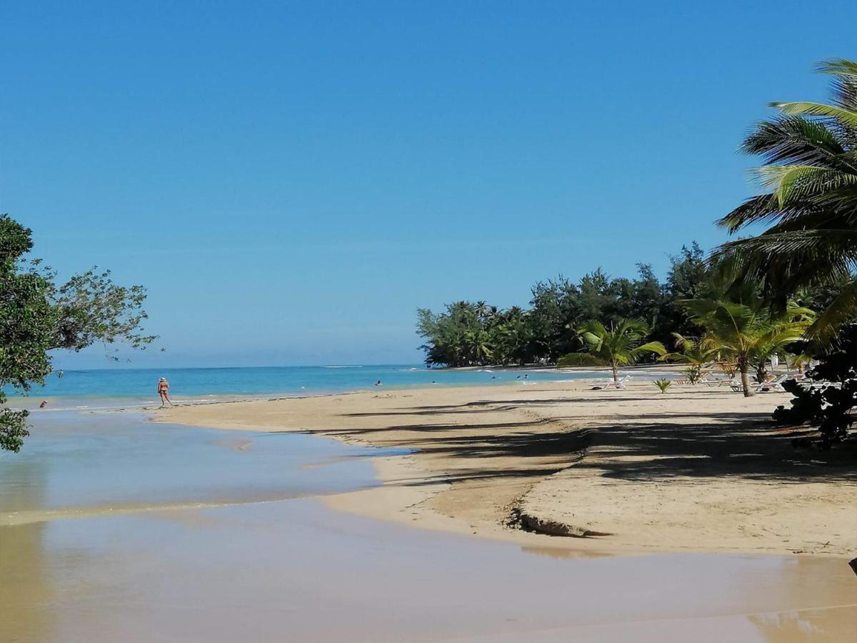 House Jardin Del Caribe Las Terrenas
