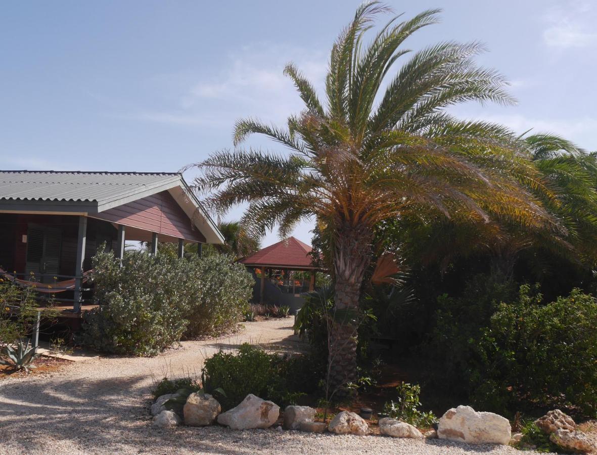 Red Palm Village Playa