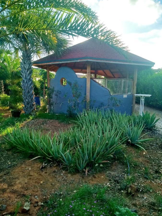 Red Palm Village Playa