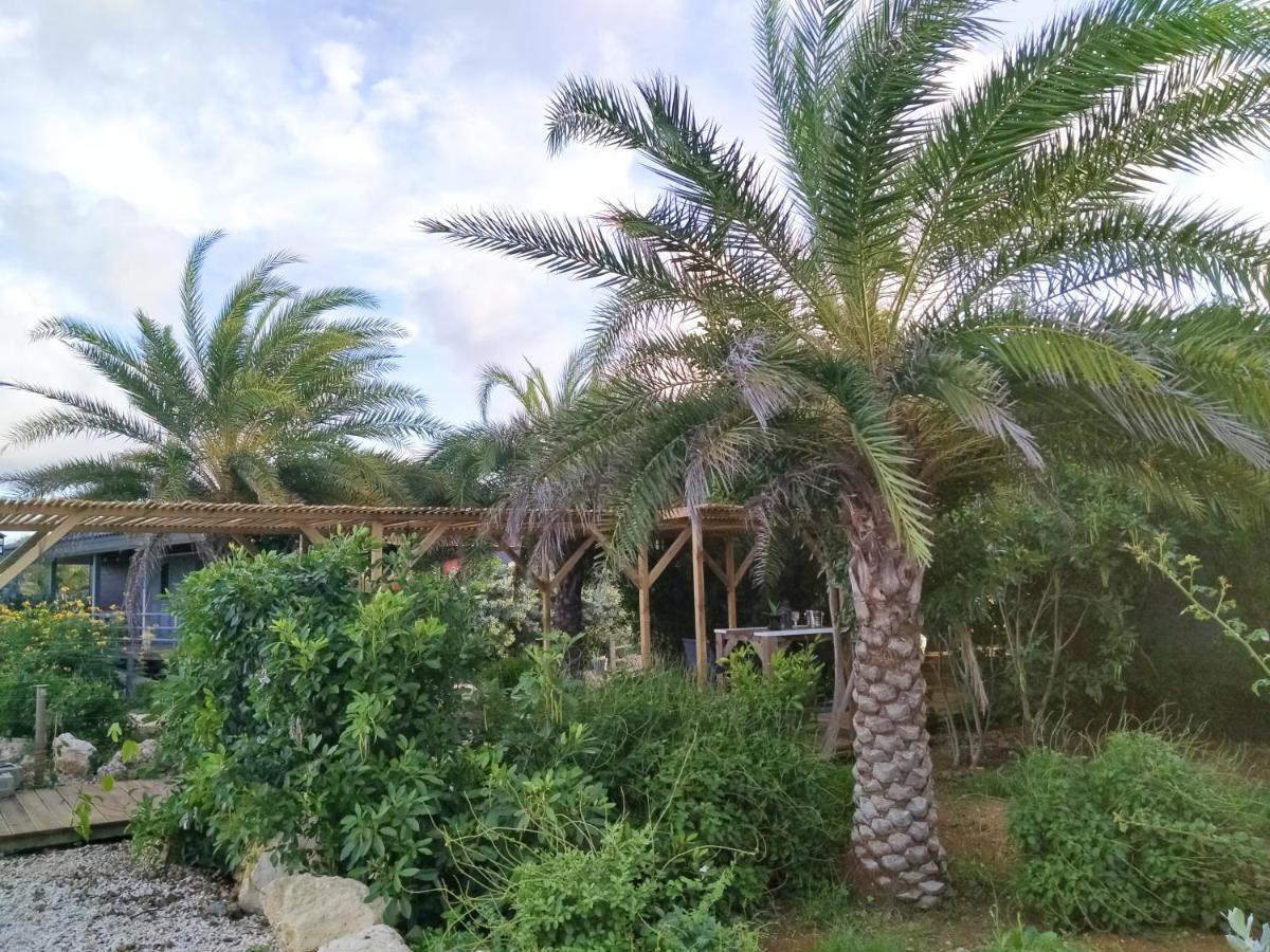 Red Palm Village Playa