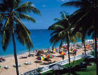 Resort Starfish St Lucia Rodney Bay