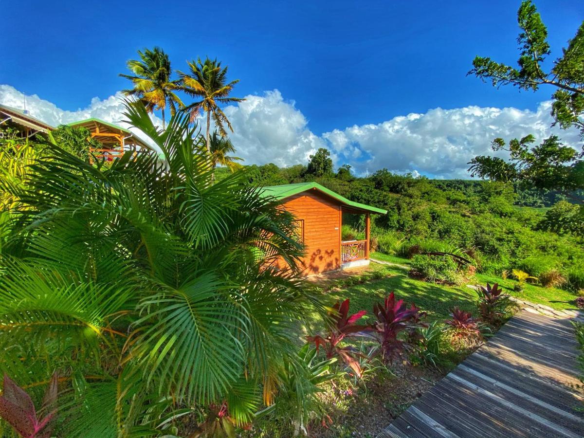 Paradis Tropical 3*