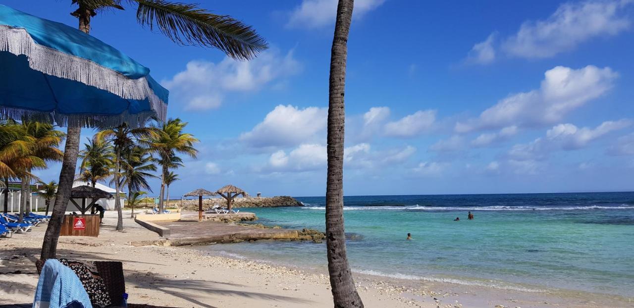 Paradisiac Lagoon