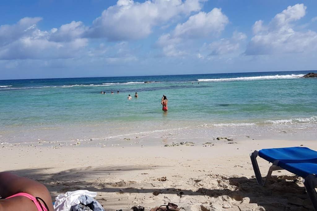 Paradisiac Lagoon *