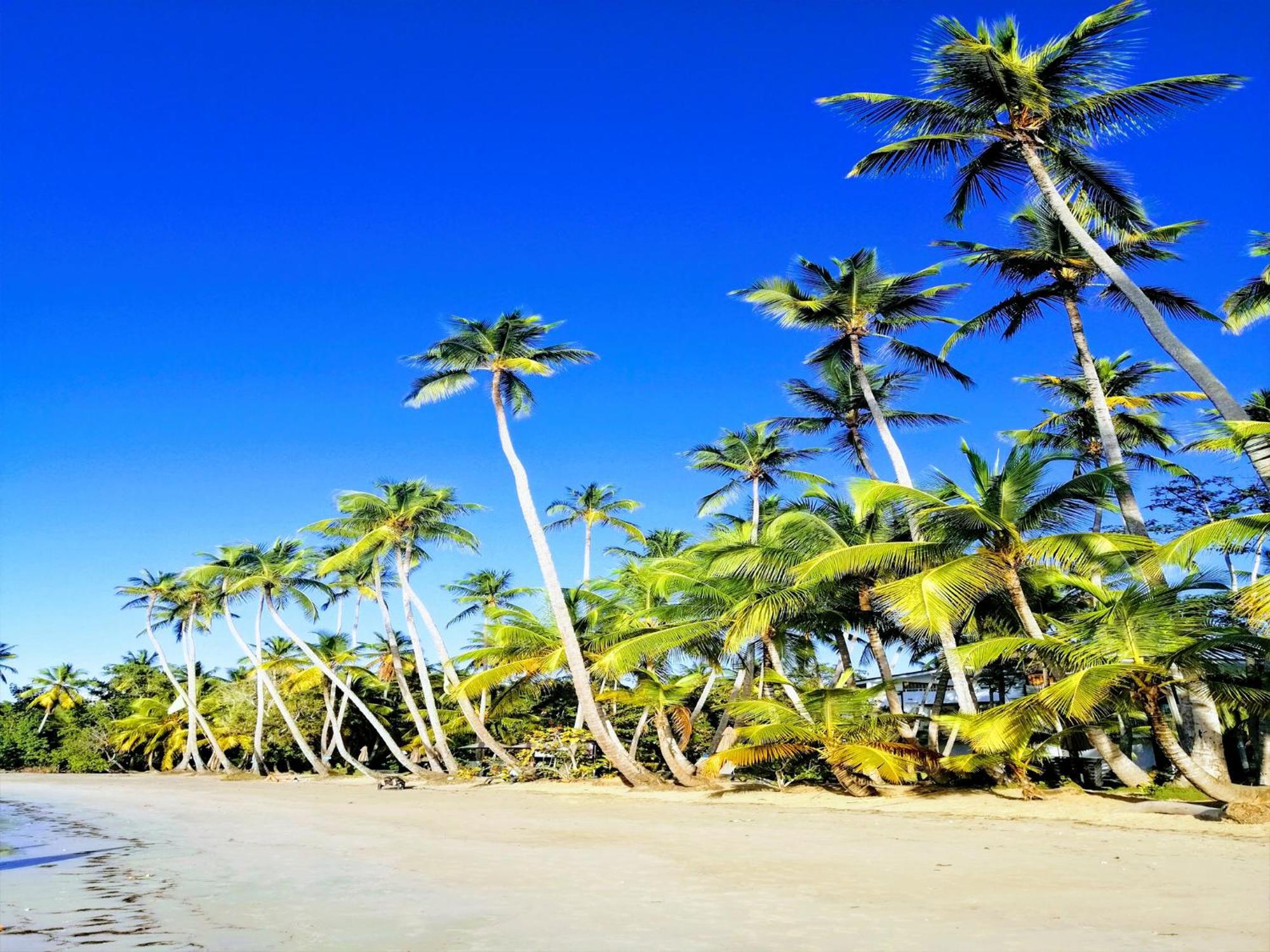 House Jardin Del Caribe 3*