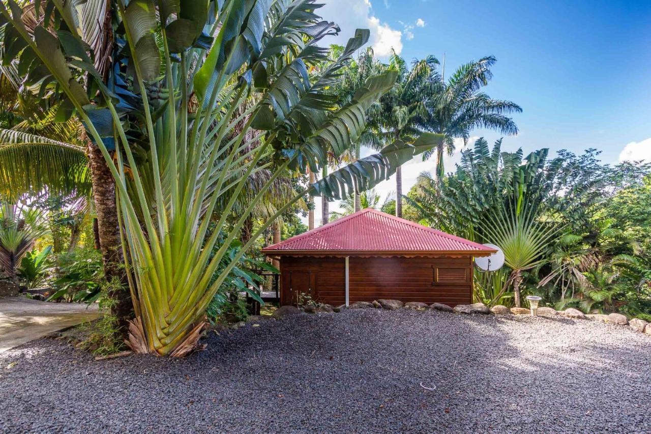 Guest house L'ilot Palmiers