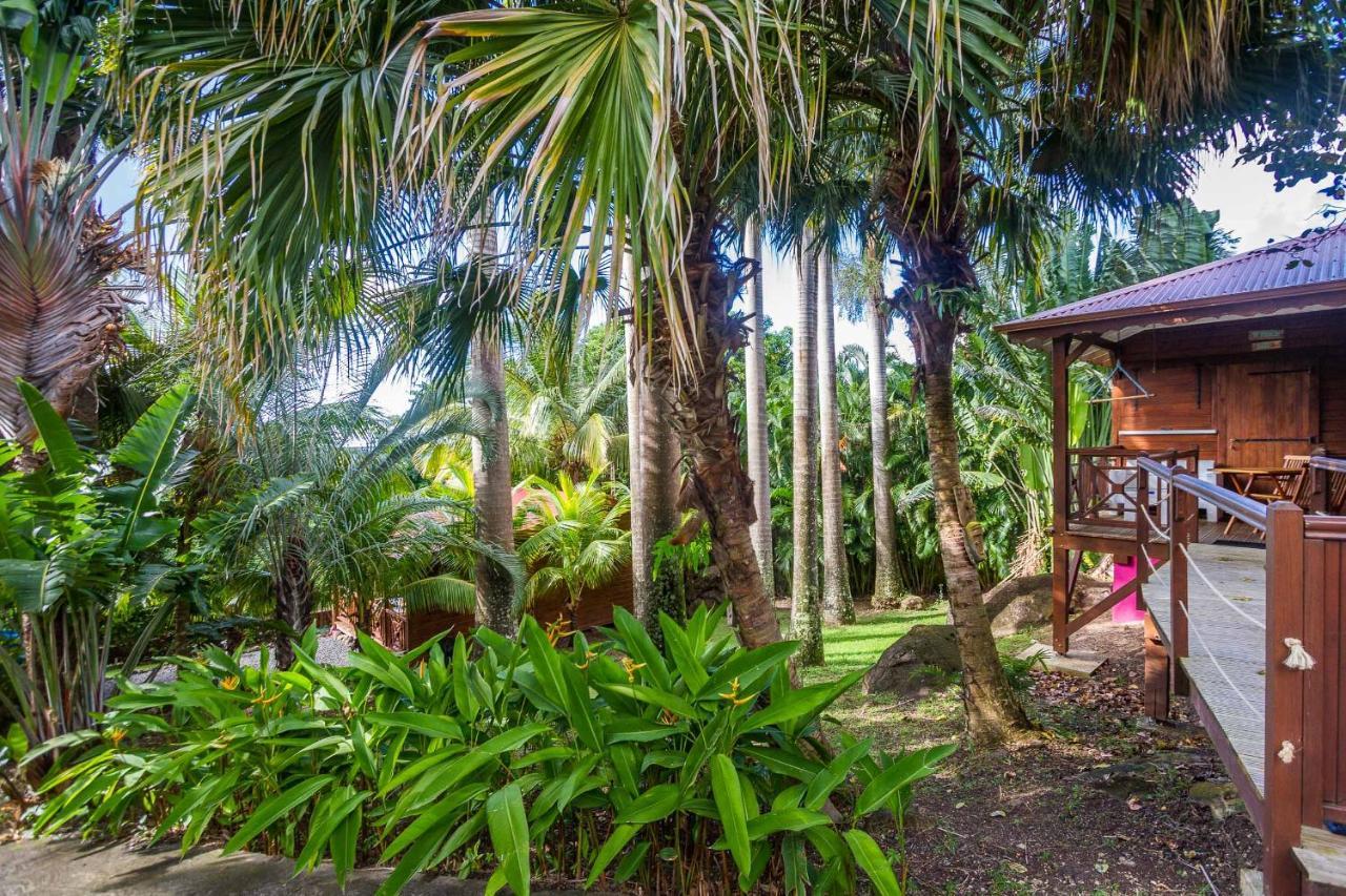 L'ilot Palmiers Guest house Pointe-Noire