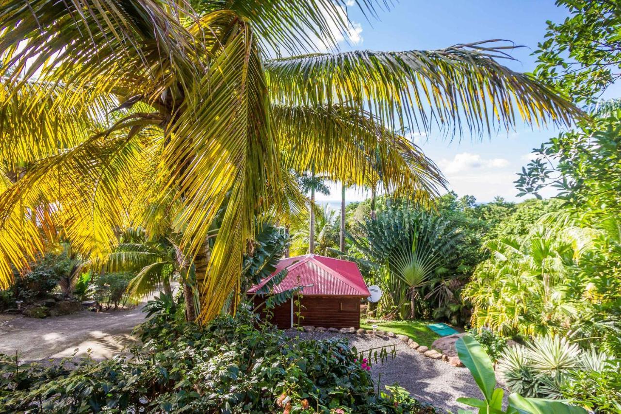Guest house L'ilot Palmiers