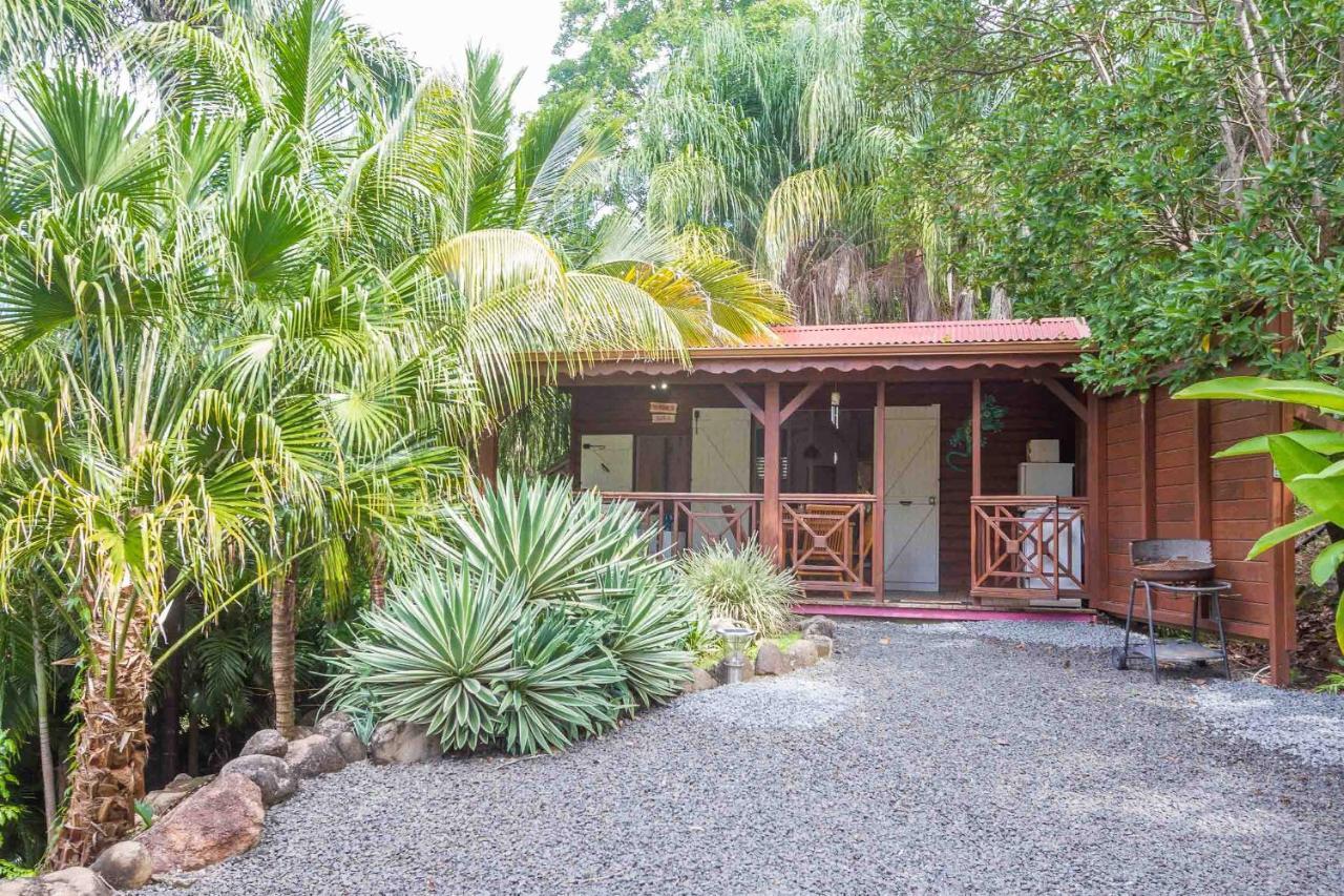 L'ilot Palmiers Guest house