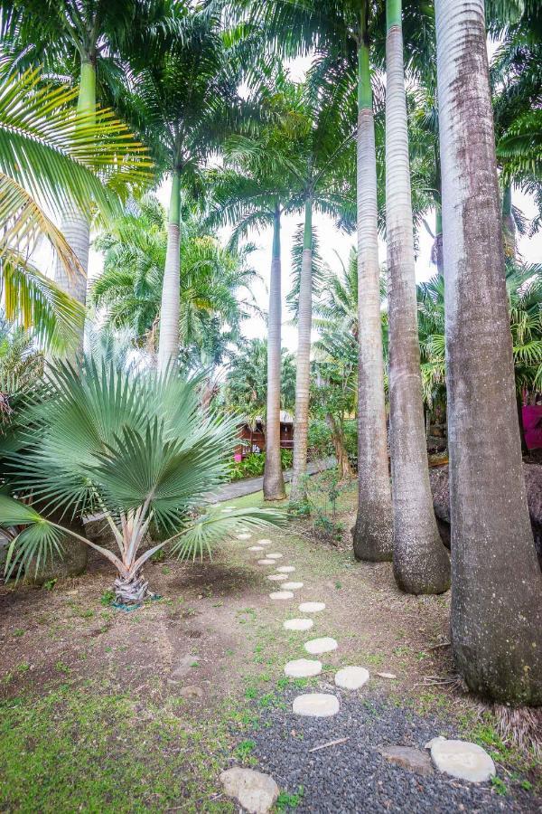 L'ilot Palmiers Guest house Pointe-Noire