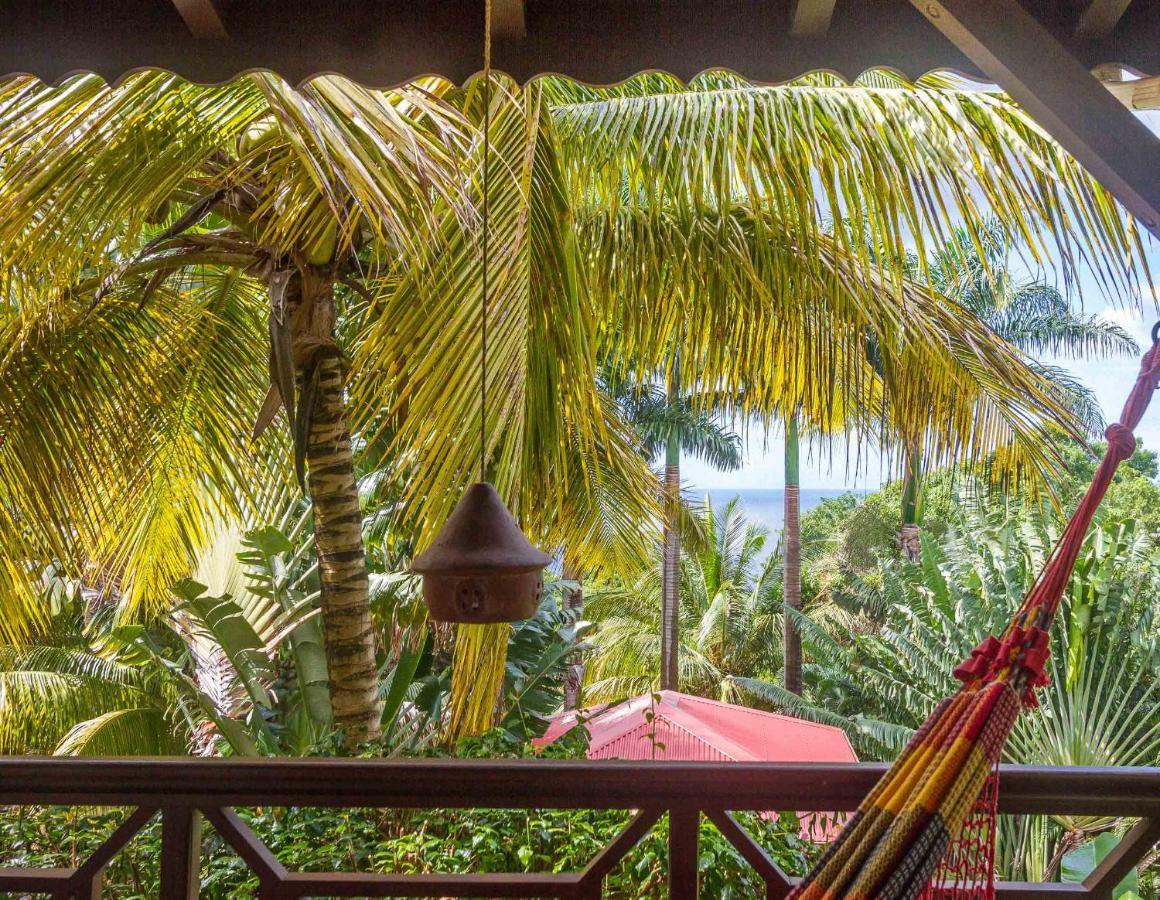 Guest house L'ilot Palmiers Pointe-Noire