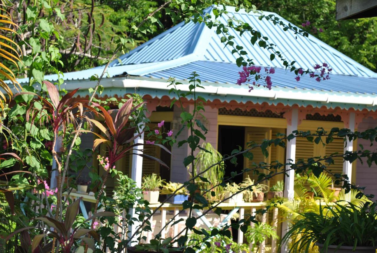 Caribbean Dream Guest house Vieux Fort