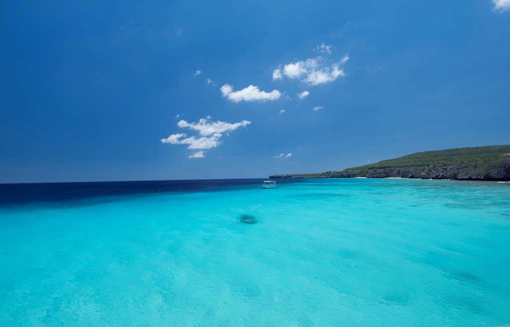 Coral Estate Luxury Resort 4*