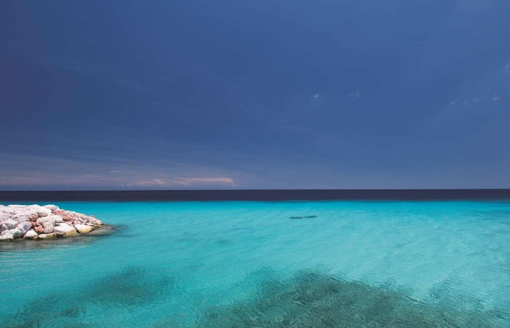 Coral Estate Luxury Resort