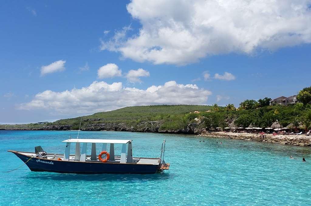 Coral Estate Luxury Resort 4*