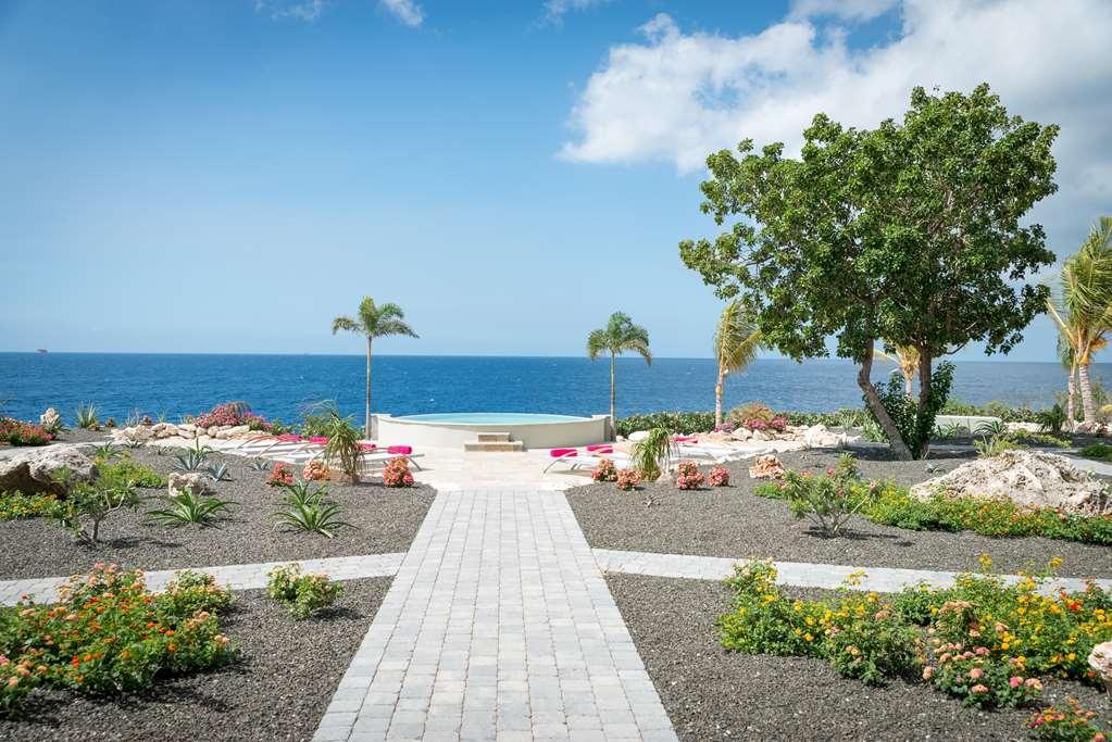 Coral Estate Luxury Resort 4*