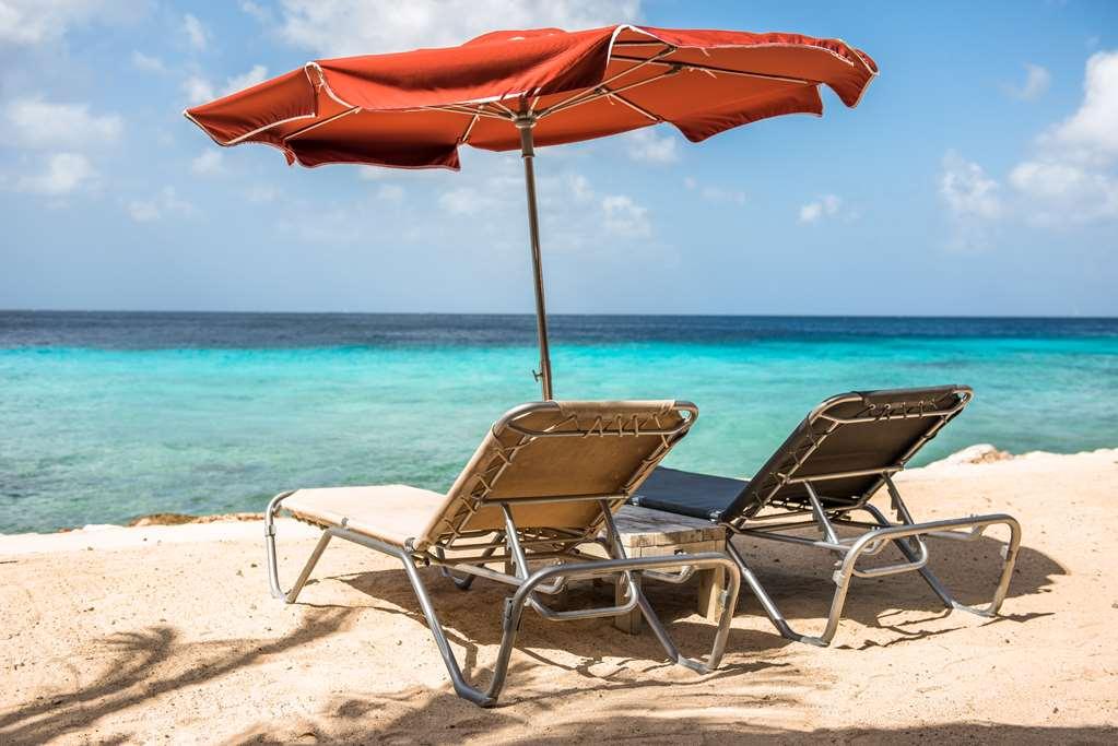 Resort Coral Estate Luxury Resort 4*