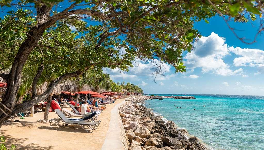 Coral Estate Luxury Resort Resort Willibrordus