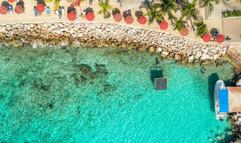 Coral Estate Luxury Resort 4*