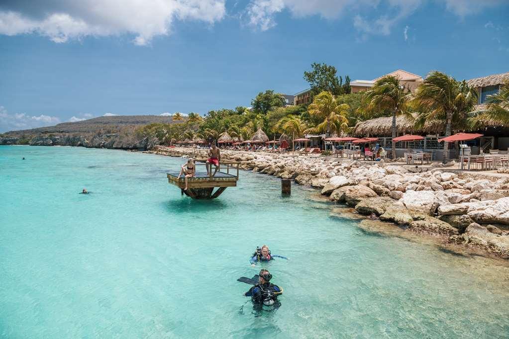 Coral Estate Luxury Resort Resort