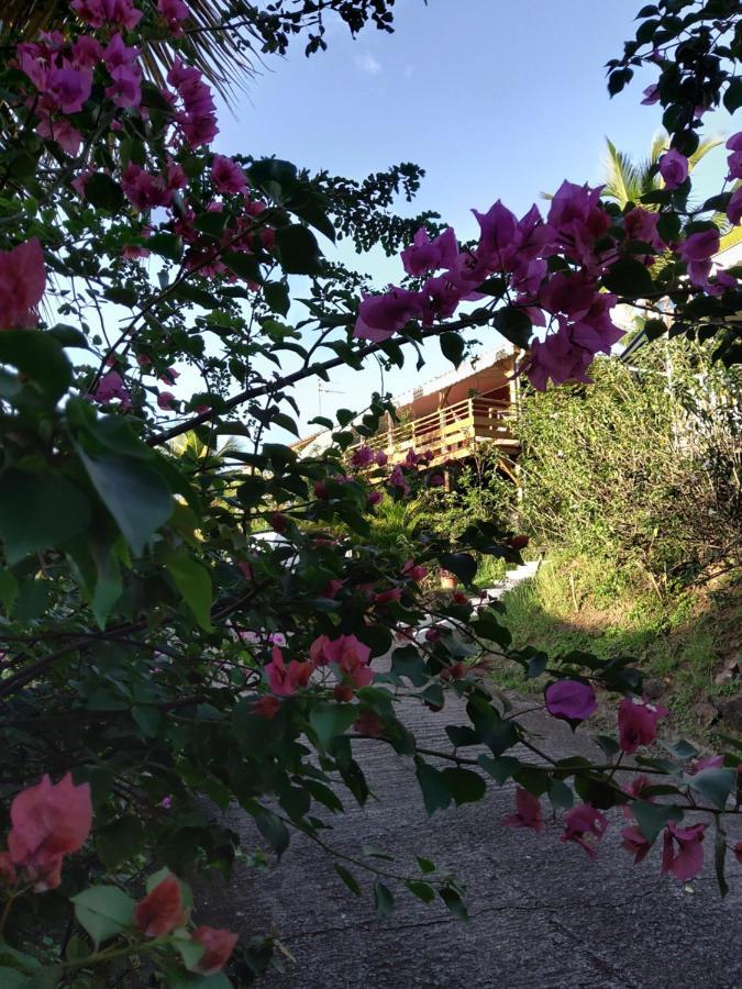 Les Du Domaine De Petite-anse Holiday home Bouillante