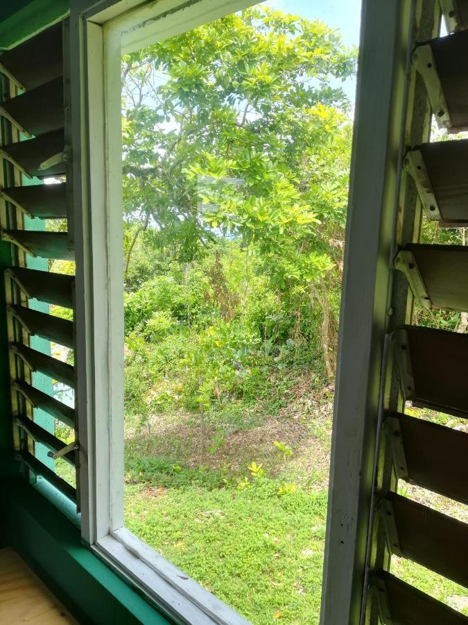 Toga Bed & Breakfast Port Antonio