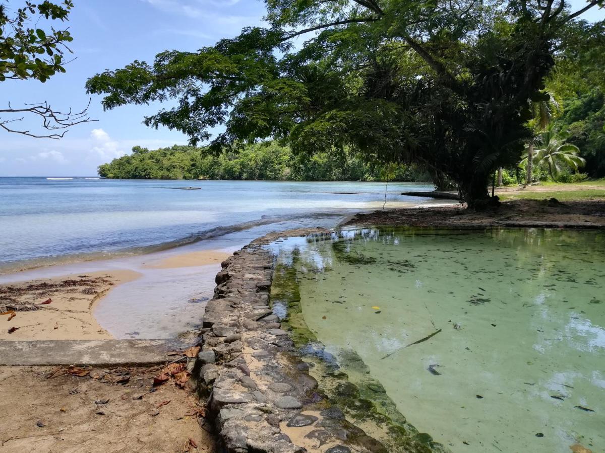 Toga Port Antonio