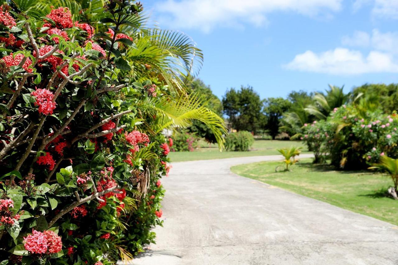Cortsland Antigua St. John's