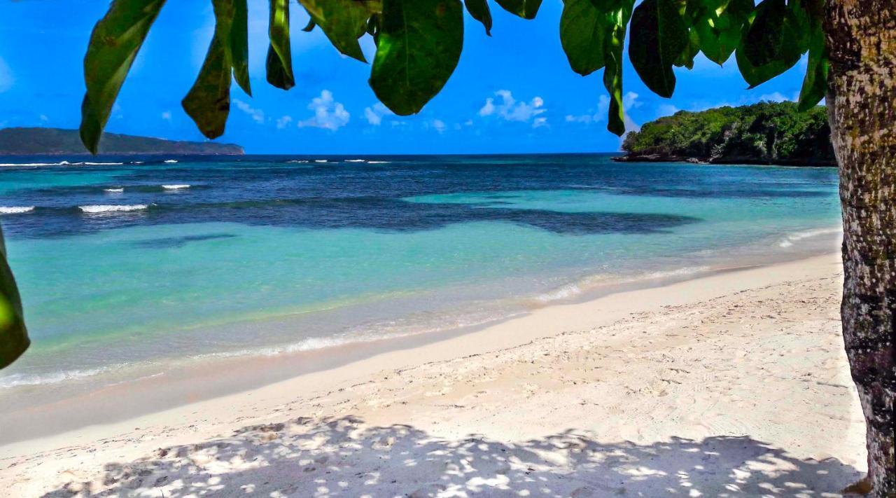 Jasmine La Playita - Ocean Front *