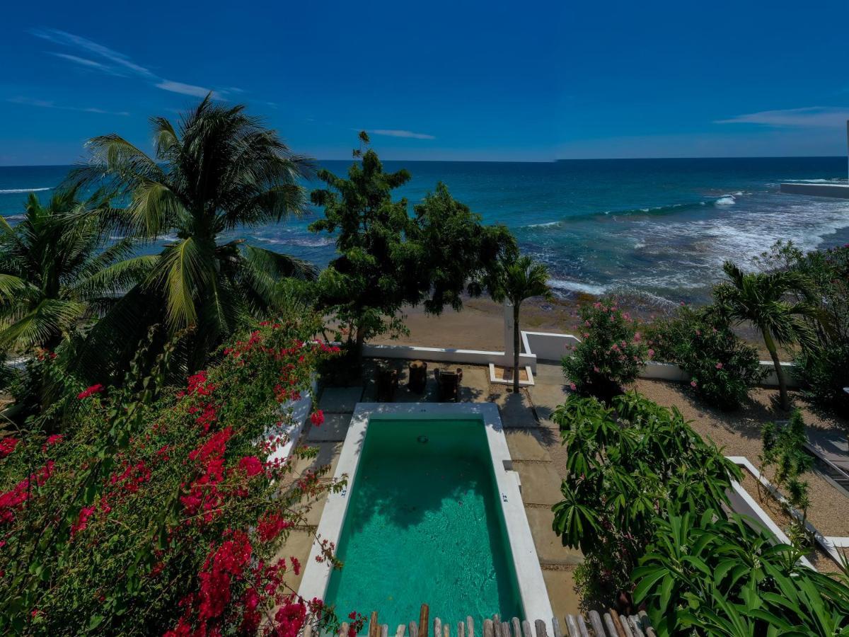 Kotch Treasure Beach