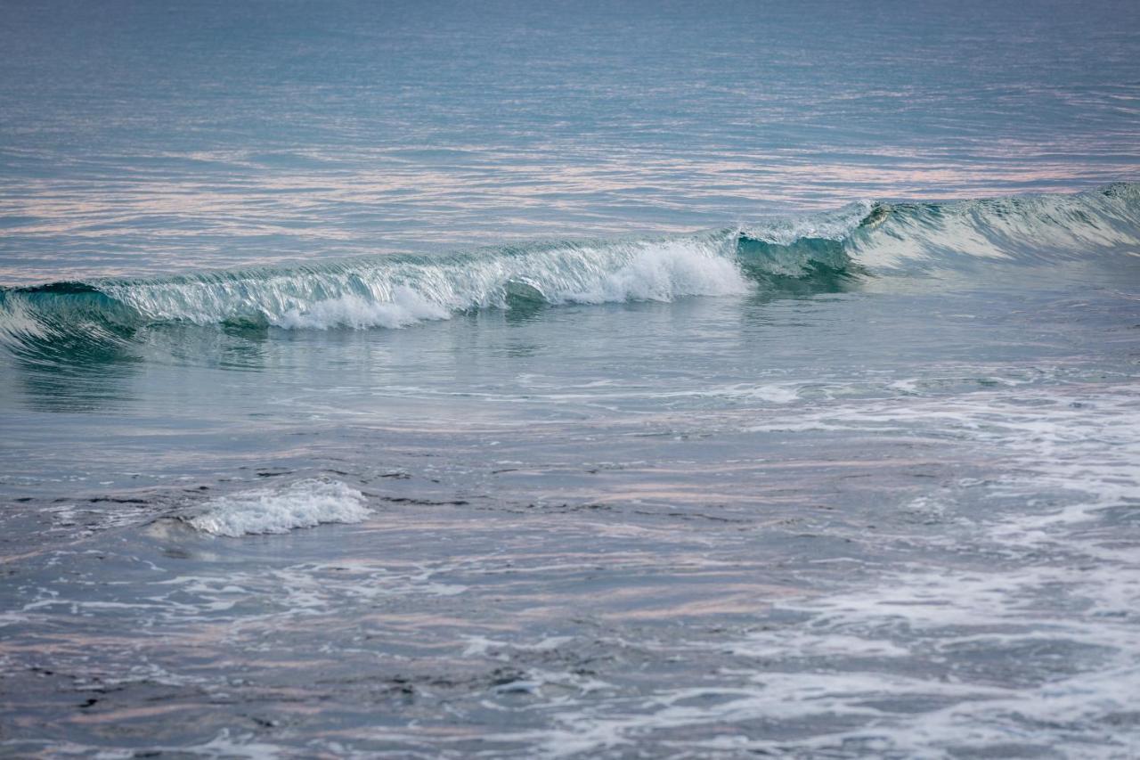 Kotch Treasure Beach