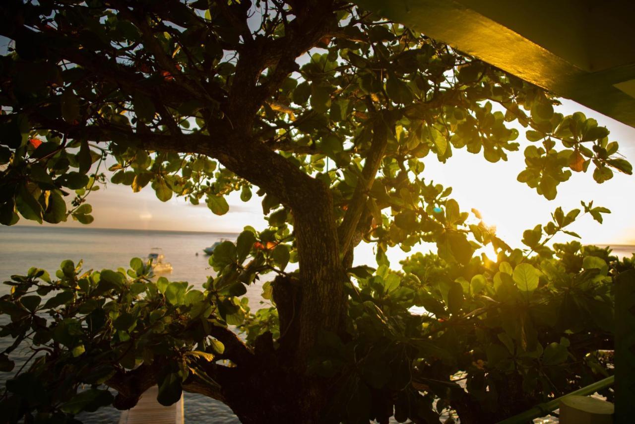 Ocean's Edge Restaurant & Bar Hotel Roseau