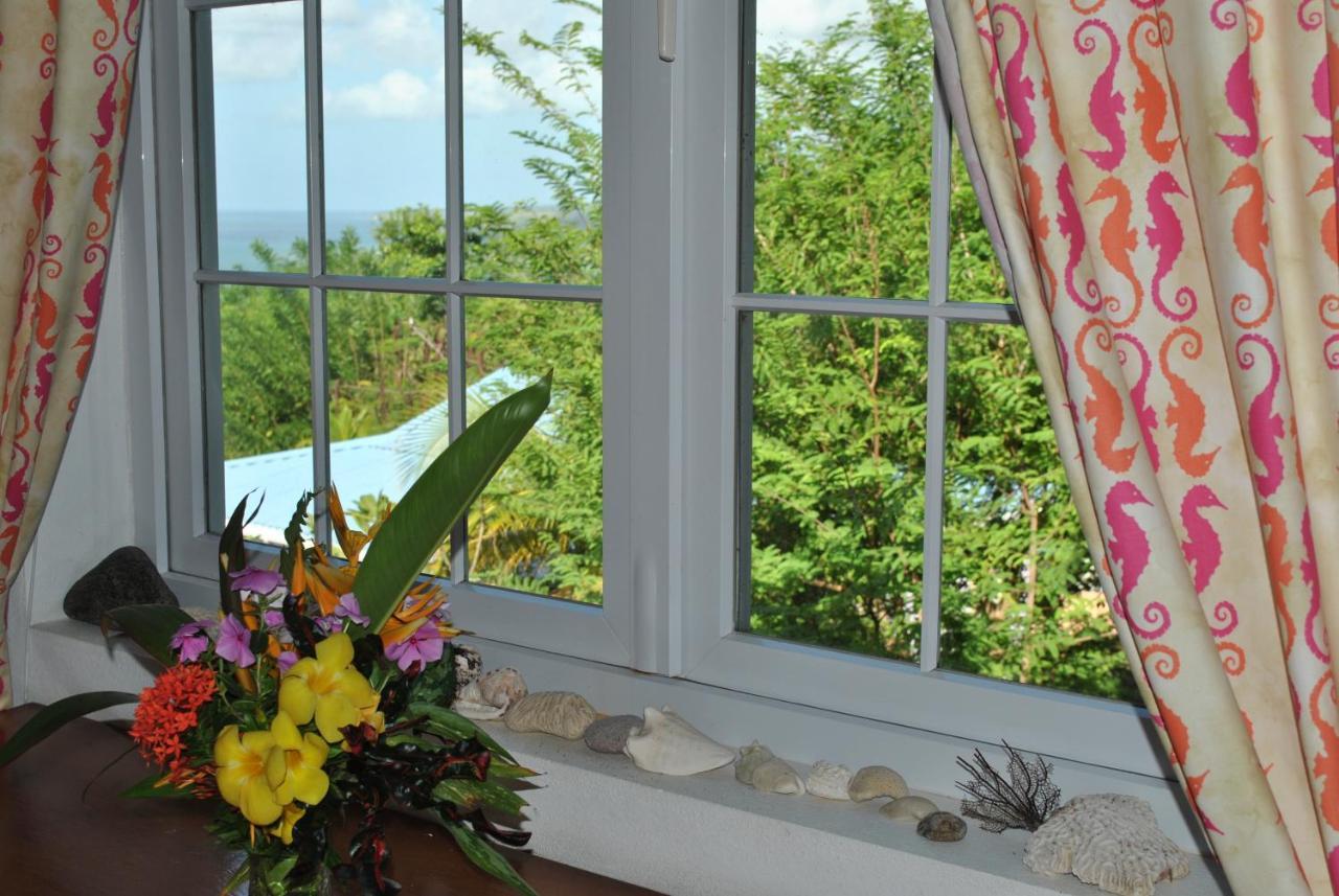 Guest house Caribbean Dream
