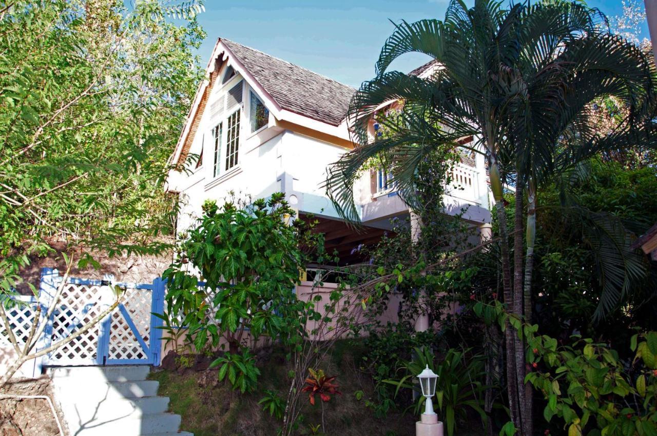 Caribbean Dream Guest house