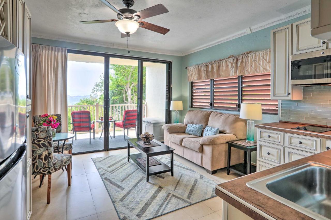 Apartment Saint Thomas With Ocean Views, Walk To Beach! Frydendal