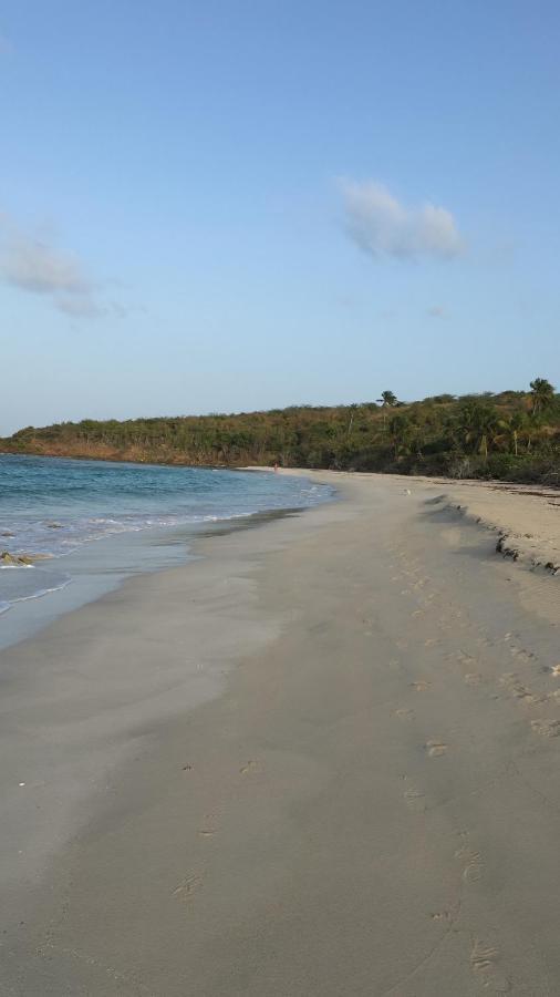 Guest house Naniqui - Only Adults -parking Golf Car Only